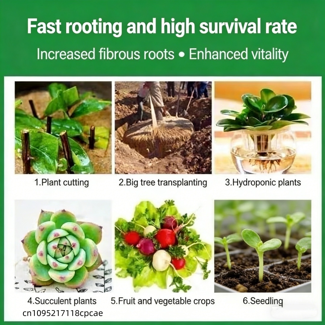 植物発根剤 インドール酪酸 98% |   花の挿し木や移植 - Rooting Hormone Powder のレビューと価格