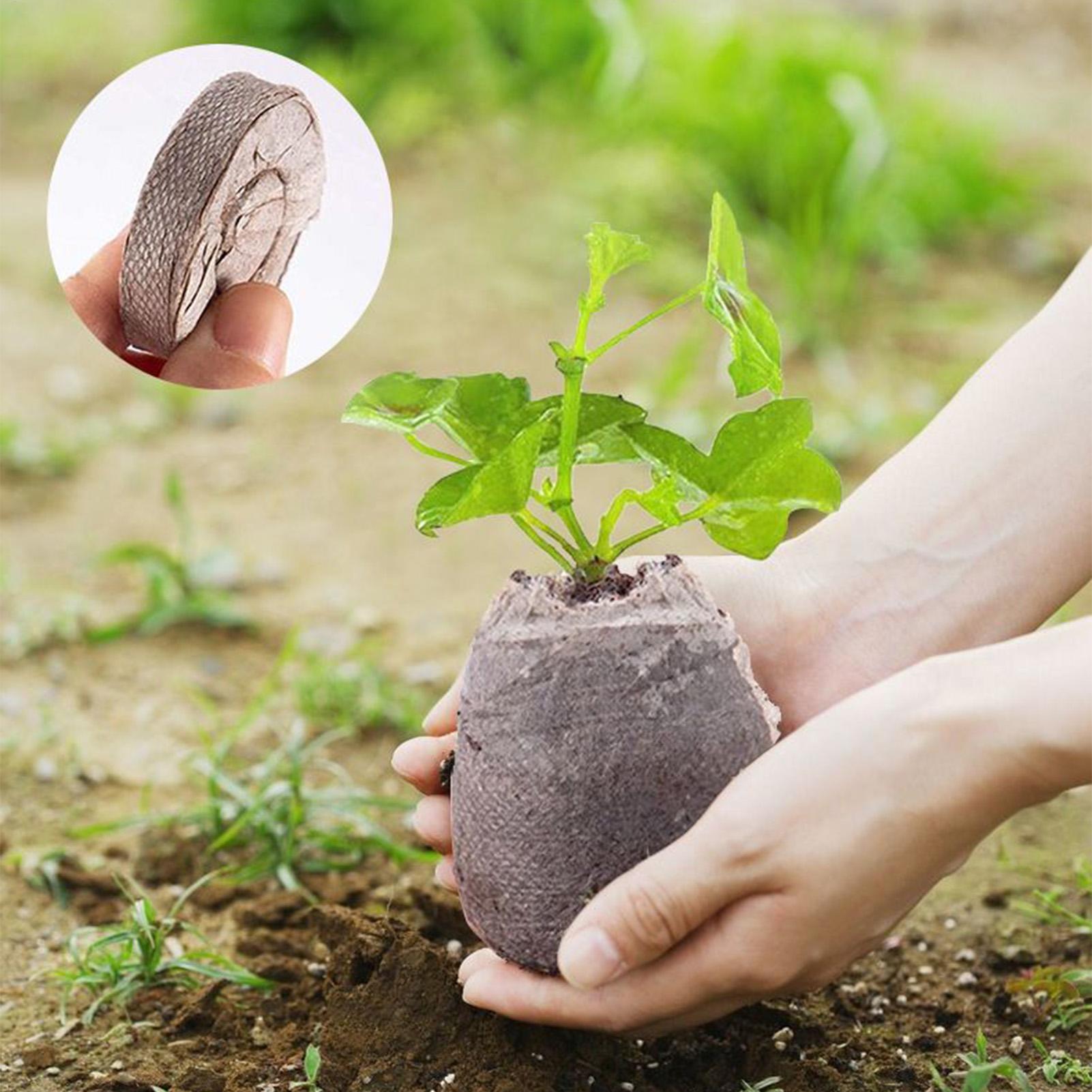 100個入りポッティングミックストレイ30mm土壌ペレット不 - Peat Pellet Tray のレビューと価格